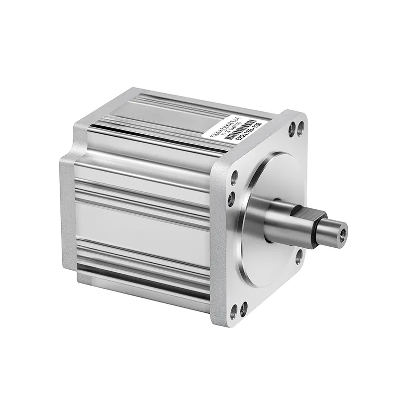 Adjustable Speed BLDC Motor